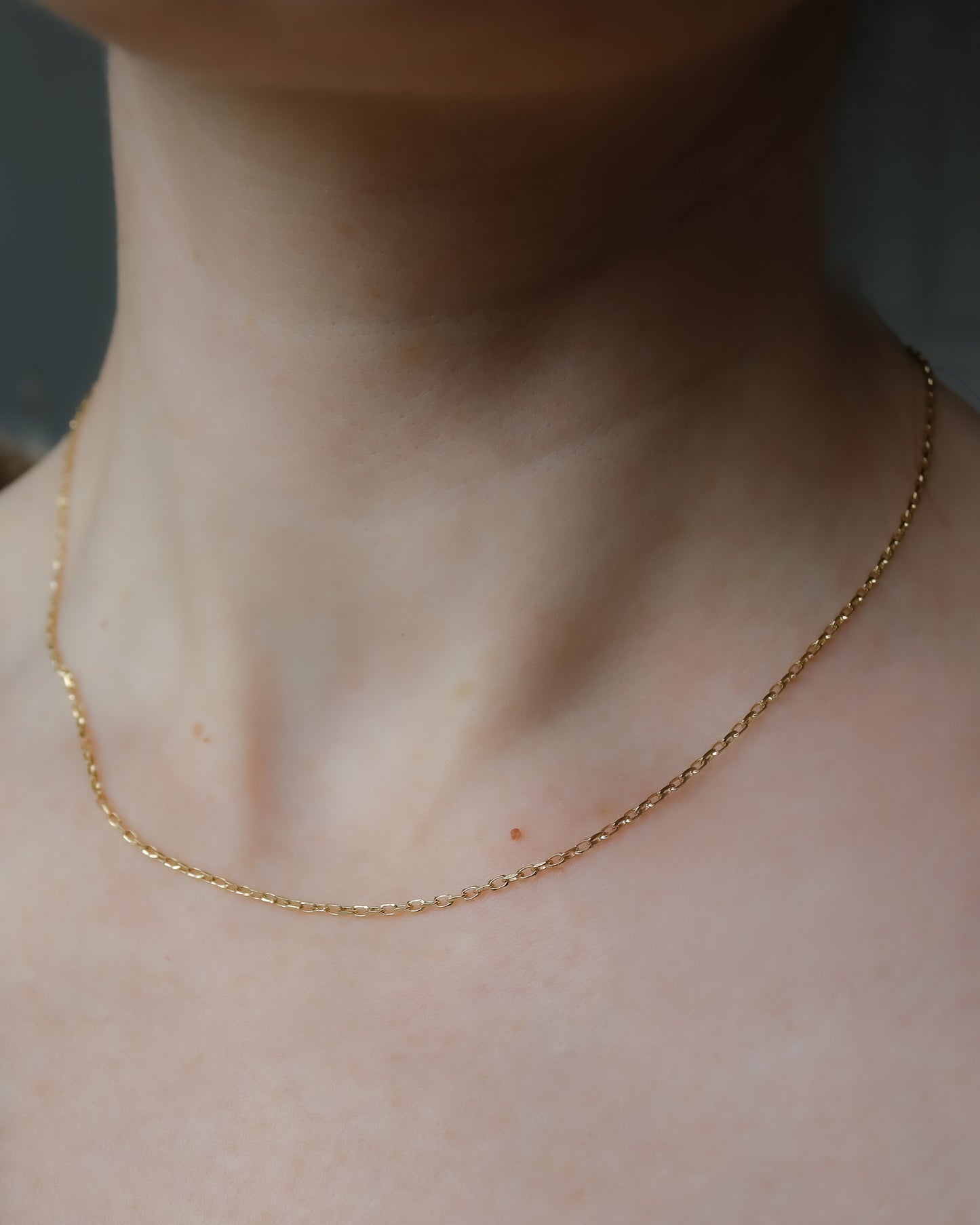 Vintage Fine Biker Link Necklace Chain - 1988
