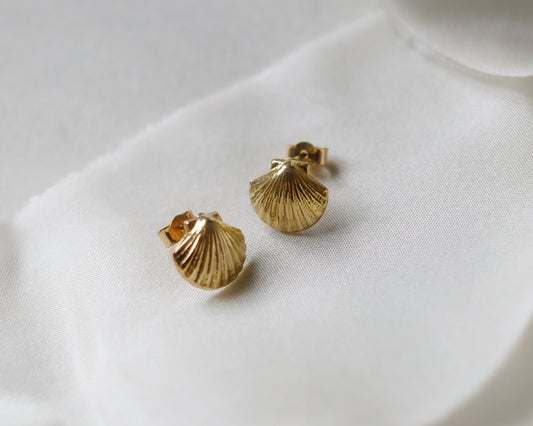dainty 9ct yellow gold shell stud earrings